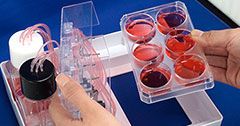 PCME-System Accommodates a standard 6-well plate PCME-System Accommodates a standard 6-well plate