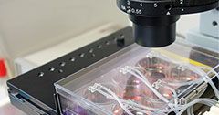 PCME-System Observable on a microscope PCME-System Observable on a microscope