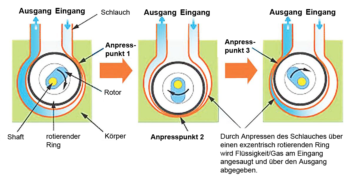 Ring pump Peristaltic pumps technical information BMT